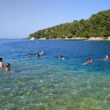Apartment Sascica Bay *